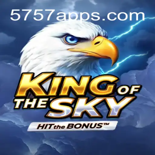 KingOfTheSky: Exploring Online Casino Dynamics with Fast Payouts in Brazil