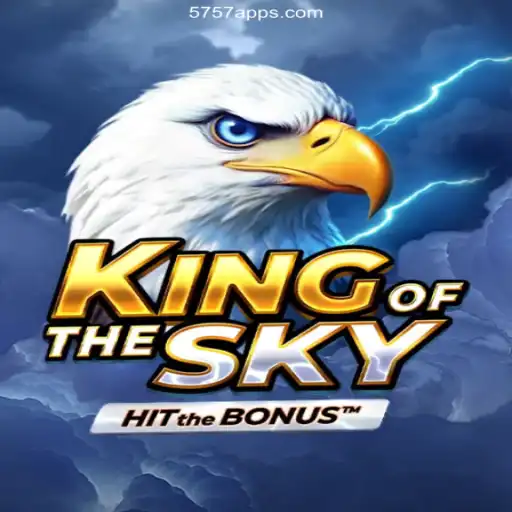 KingOfTheSky: Exploring Online Casino Dynamics with Fast Payouts in Brazil